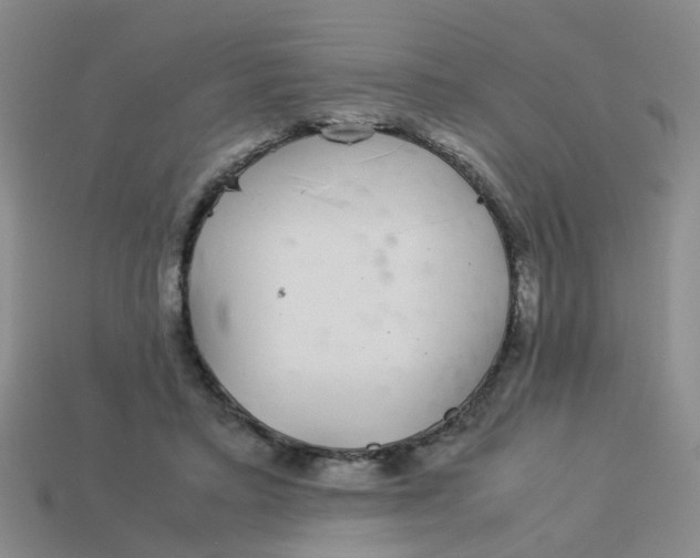 X0000113560403200910161501