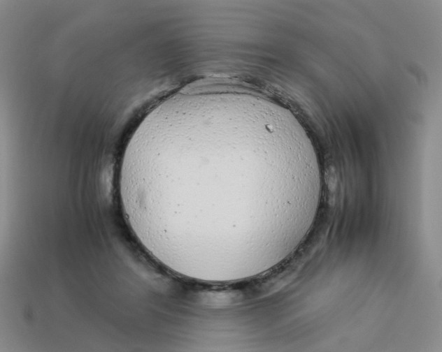 X0000113560404200910161501