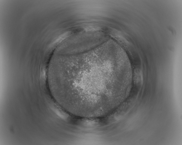 X0000113560405200910161500