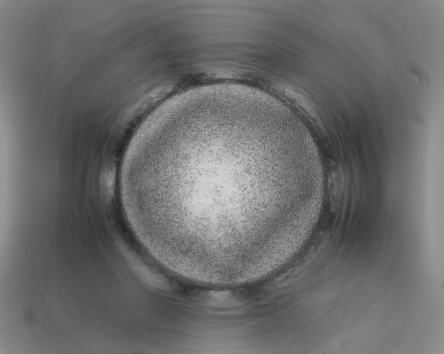 X0000113560406200910161500