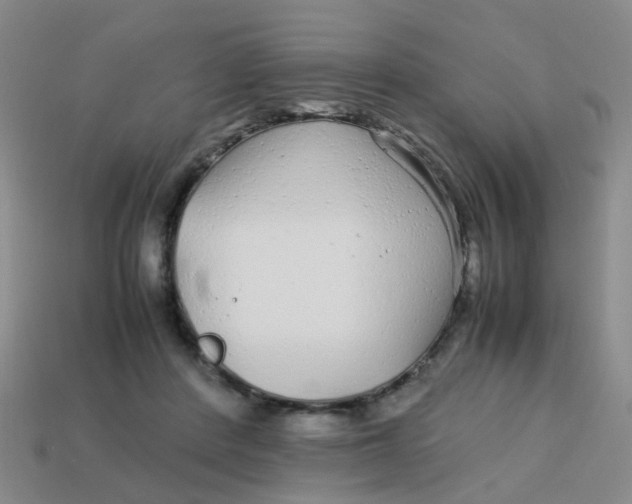 X0000113560408200910161500