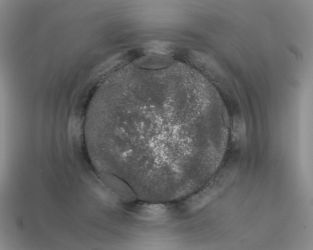 X0000113560409200910161500