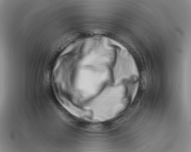X0000113560410200910161500
