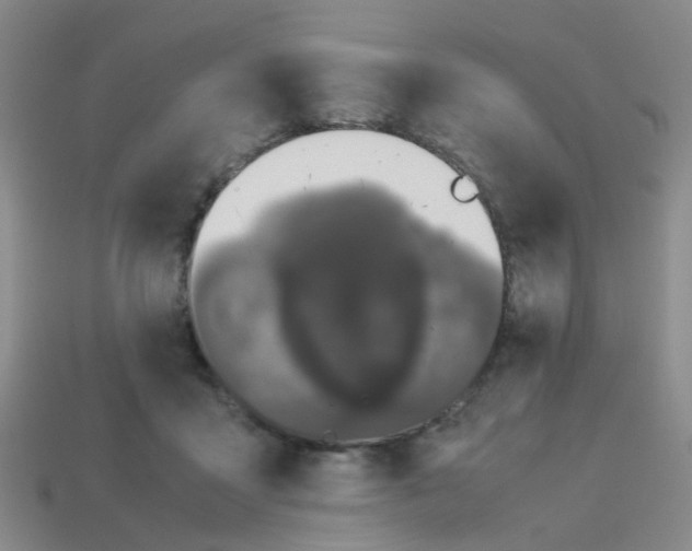 X0000113560411200910161500