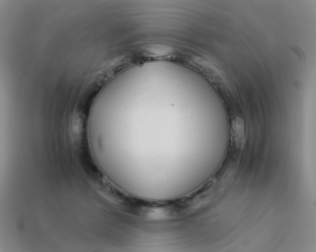 X0000113560412200910161500