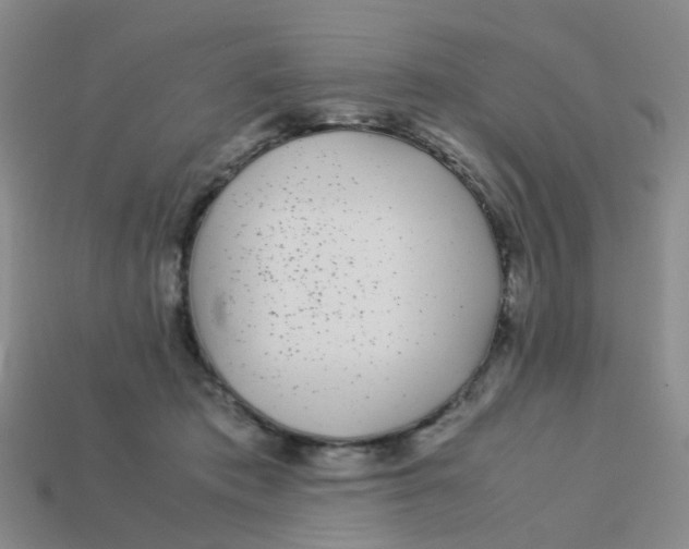X0000113560413200910161500