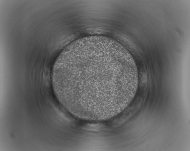 X0000113560414200910161500