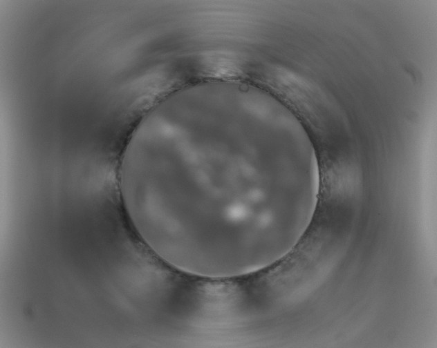 X0000113560415200910161500