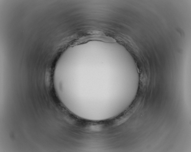 X0000113560416200910161500