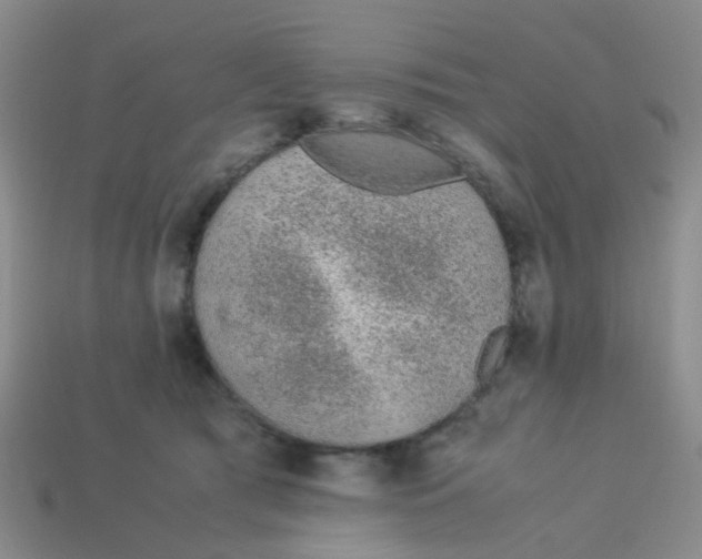 X0000113560417200910161500