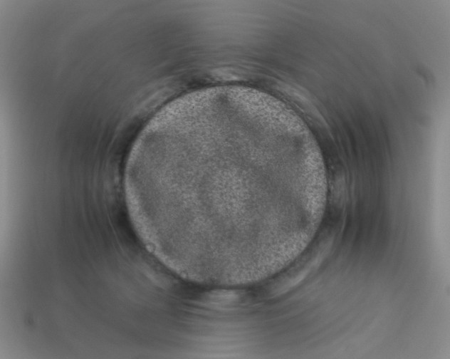 X0000113560418200910161500