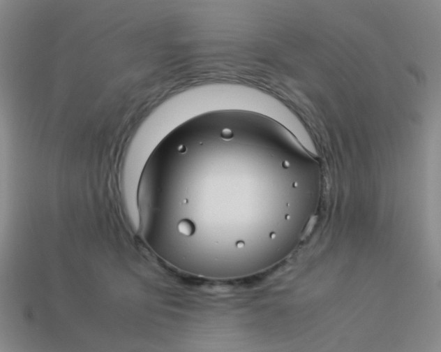 X0000113560419200910161500