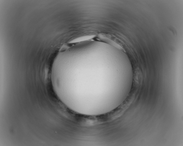 X0000113560420200910161500
