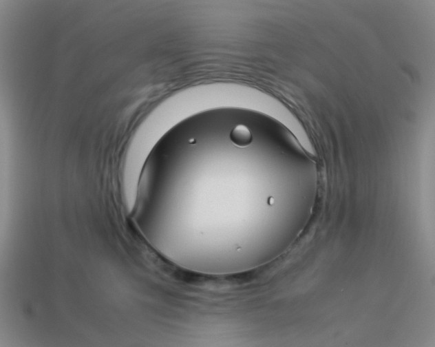 X0000113560423200910161500