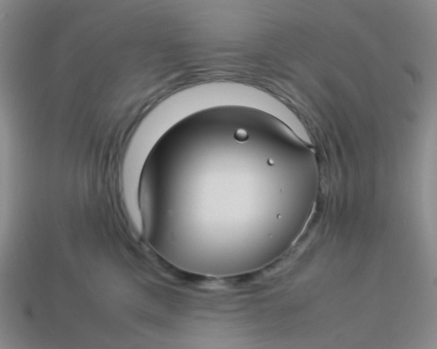 X0000113560425200910161500