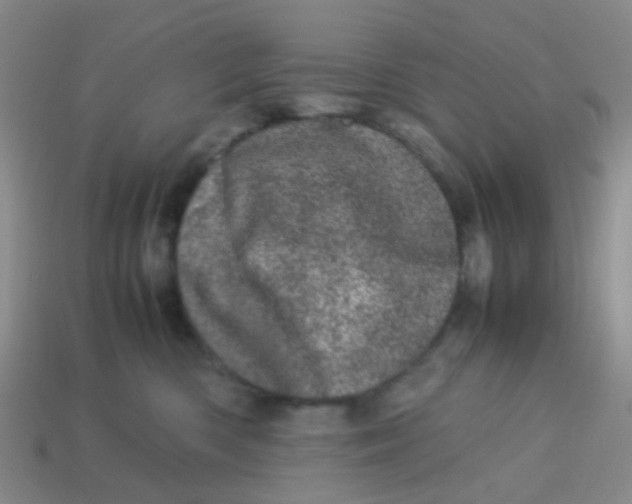 X0000113560426200910161500