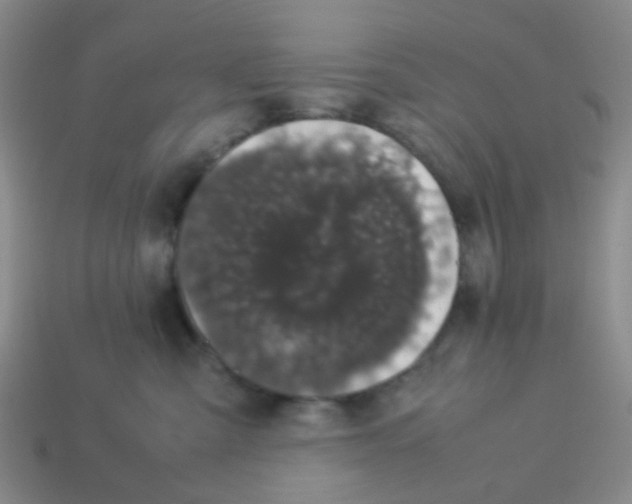 X0000113560427200910161500