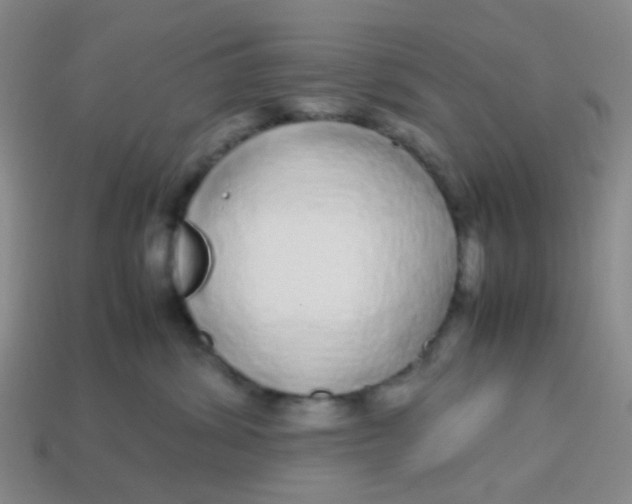 X0000113560428200910161500