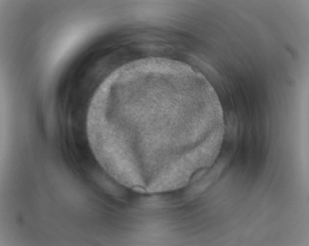X0000113560430200910161500