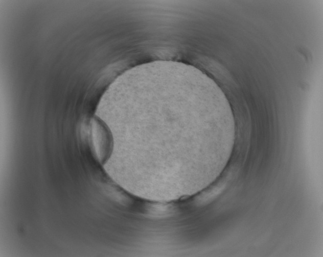 X0000113560432200910161500