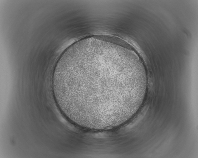 X0000113560433200910161459