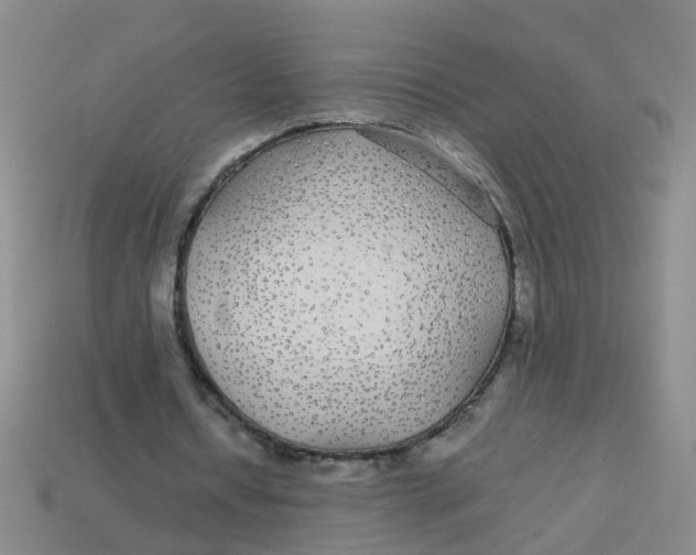 X0000113560434200910161459
