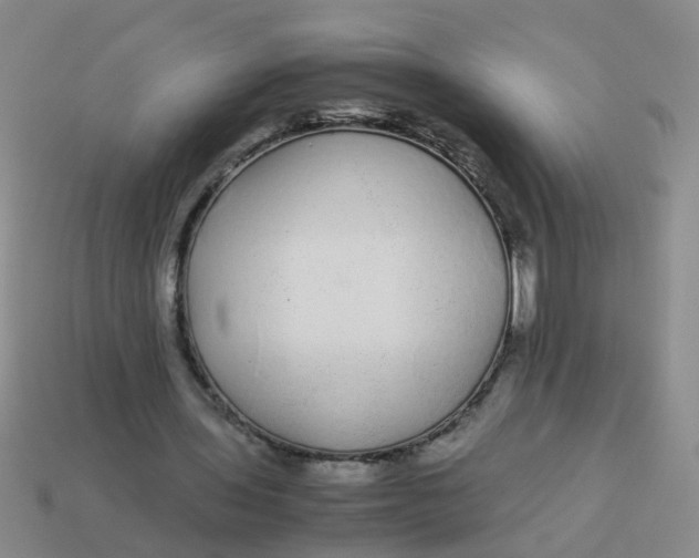 X0000113560435200910161459