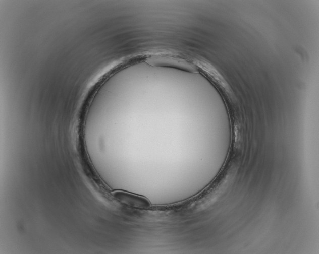 X0000113560436200910161459