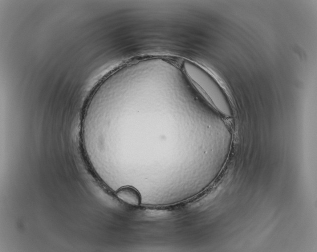 X0000113560437200910161459