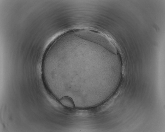 X0000113560438200910161459