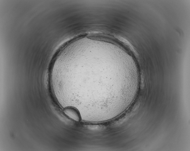 X0000113560439200910161459