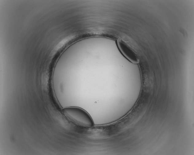 X0000113560440200910161459