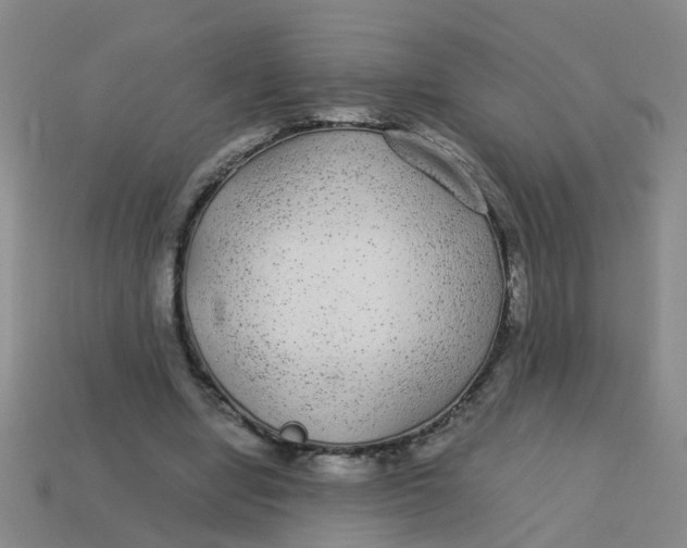 X0000113560442200910161459
