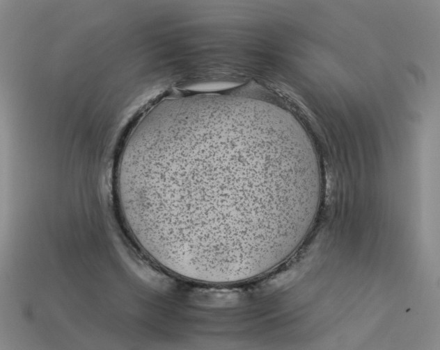 X0000113560443200910161459