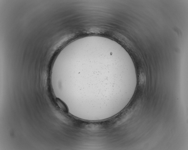 X0000113560444200910161459