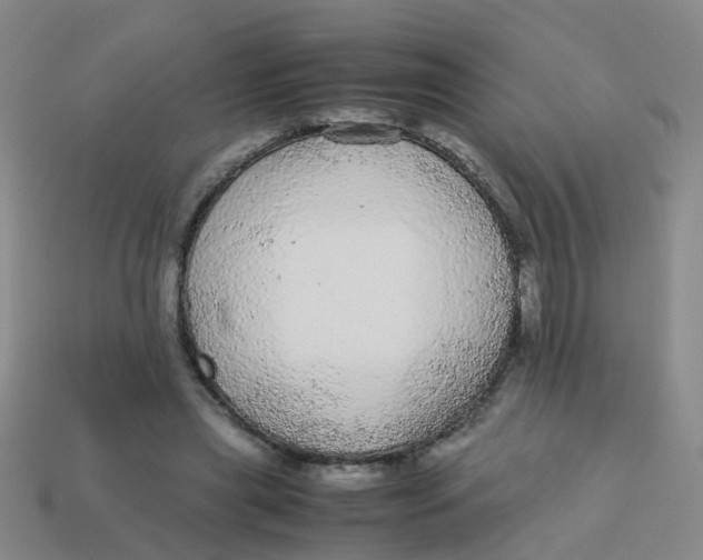 X0000113560445200910161459