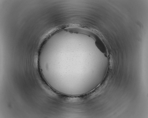X0000113560446200910161500