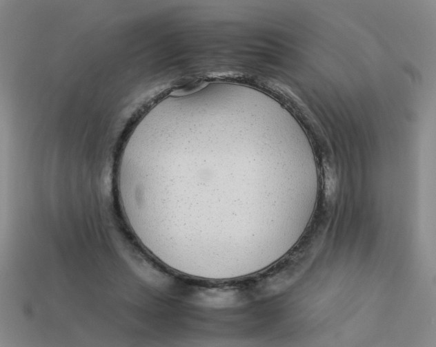 X0000113560447200910161500