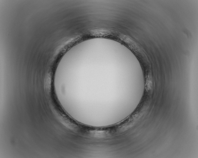 X0000113560448200910161500