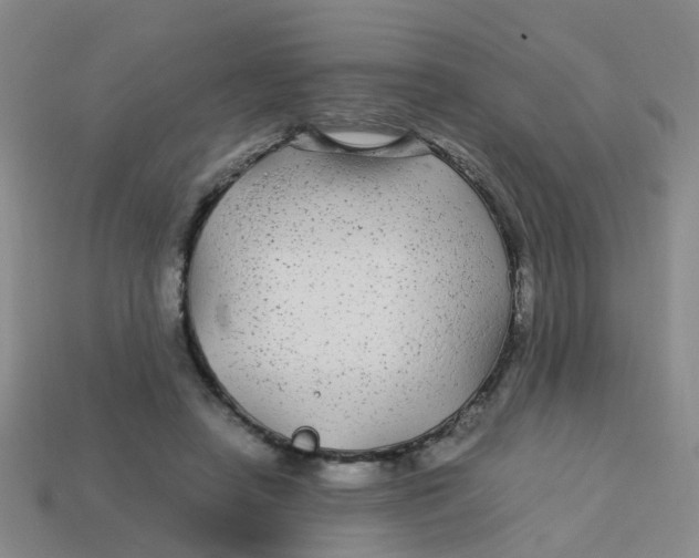 X0000113560450200910161500