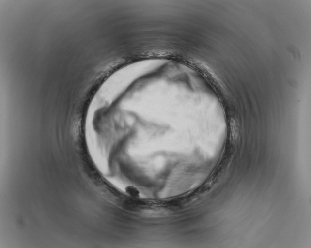 X0000113560451200910161500