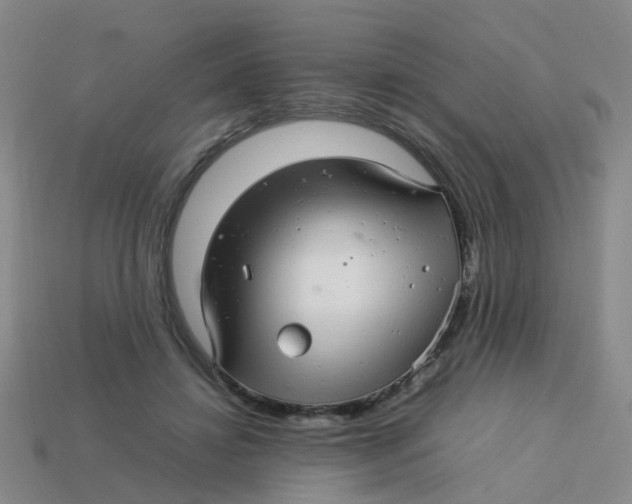 X0000113560452200910161500