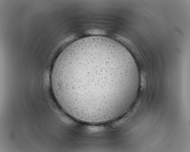 X0000113560453200910161500