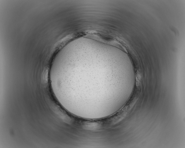 X0000113560454200910161500