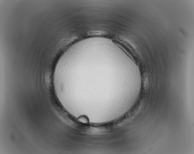 X0000113560455200910161500