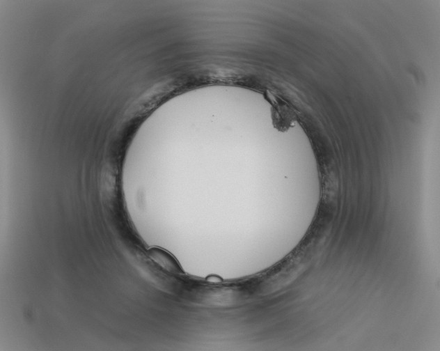 X0000113560456200910161500