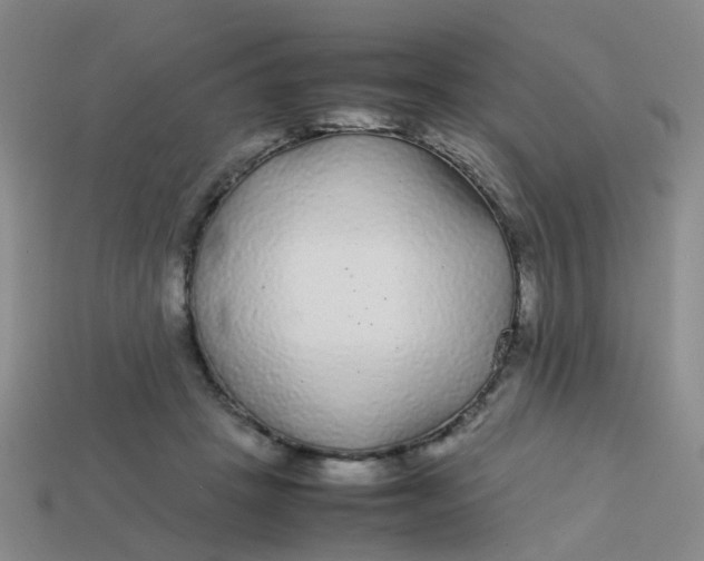 X0000113560457200910161500