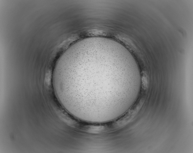 X0000113560458200910161500