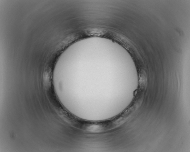 X0000113560460200910161500