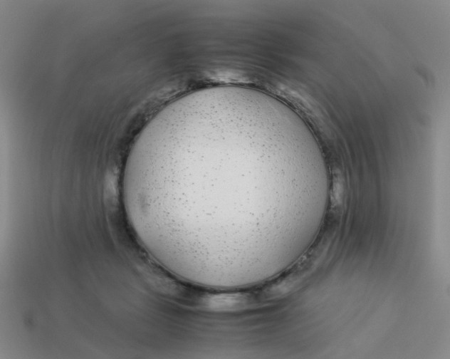 X0000113560461200910161500